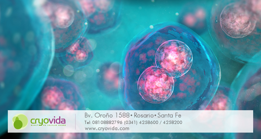 Células Madre del propio paciente para curar la Enfermedad de Machado-Joseph