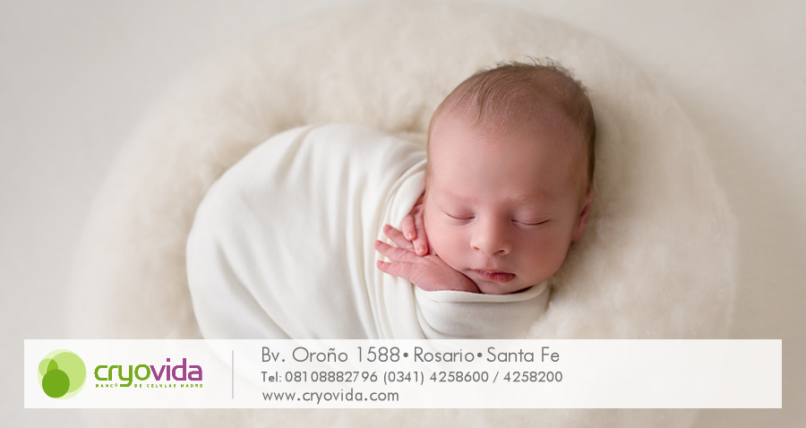 El cordón umbilical, las células madre