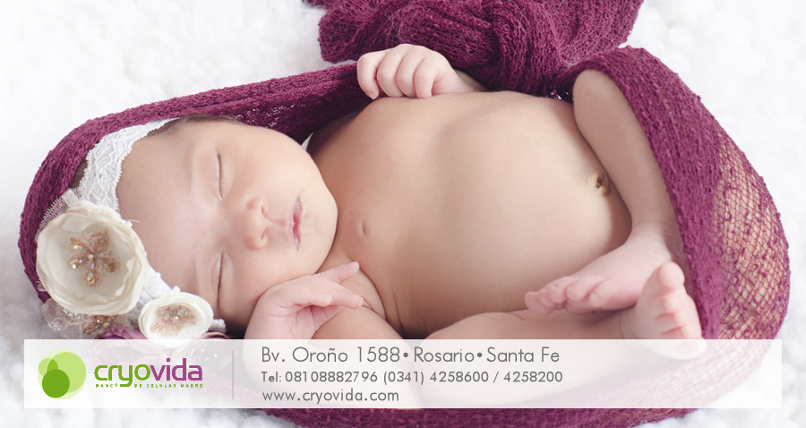 Células Madre o Stem Cells