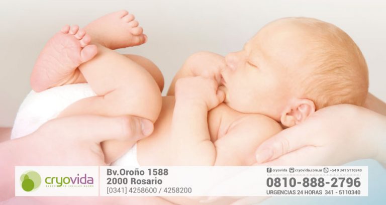 Más argentinos guardan células madre para tratar enfermedades