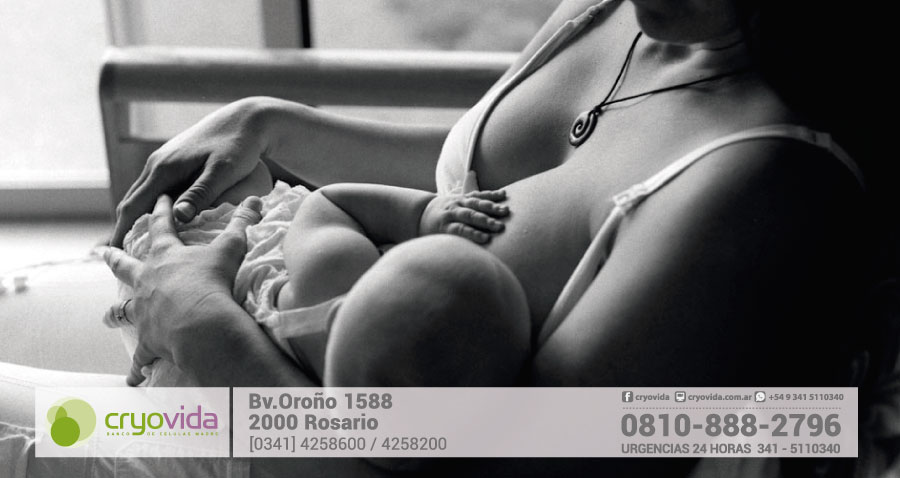 4 estrategias para tener una buena lactancia materna