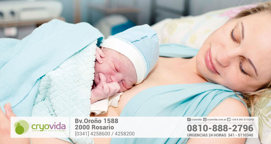 Más argentinos guardan células madre para tratar enfermedades