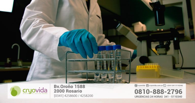 Criopreservación de células madre profundiza el avance de la medicina regenerativa