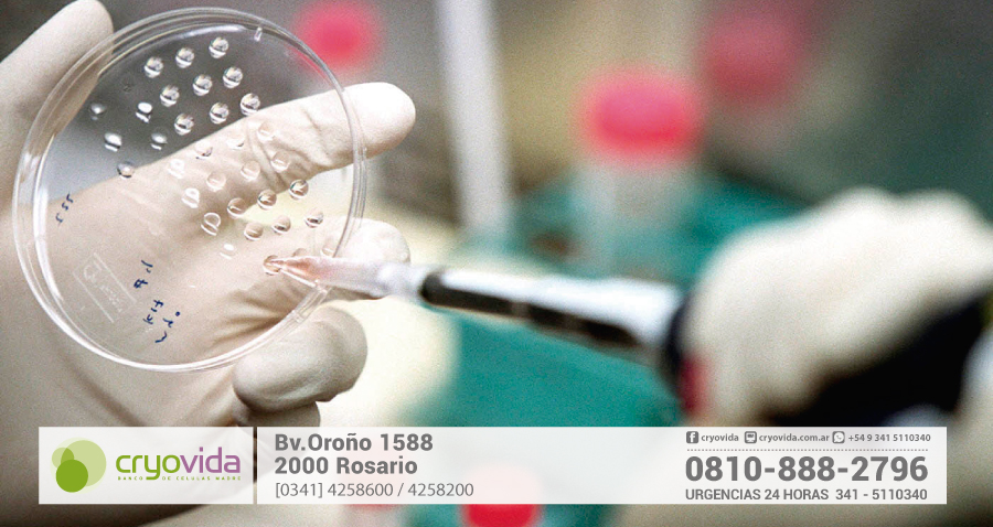 Tratan con células madre a nena con labio leporino