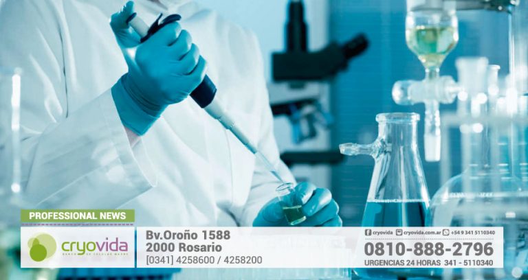 Células madre y técnica 3D para producir córneas