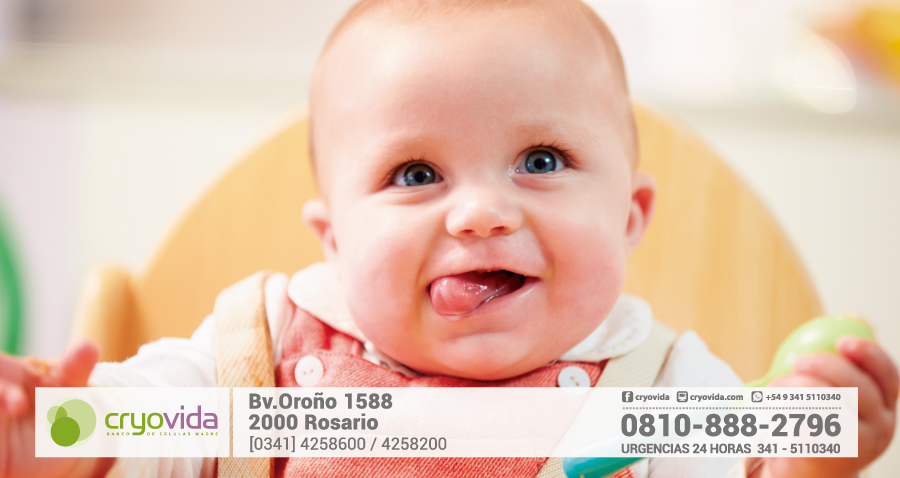 Las primeras comidas del bebé