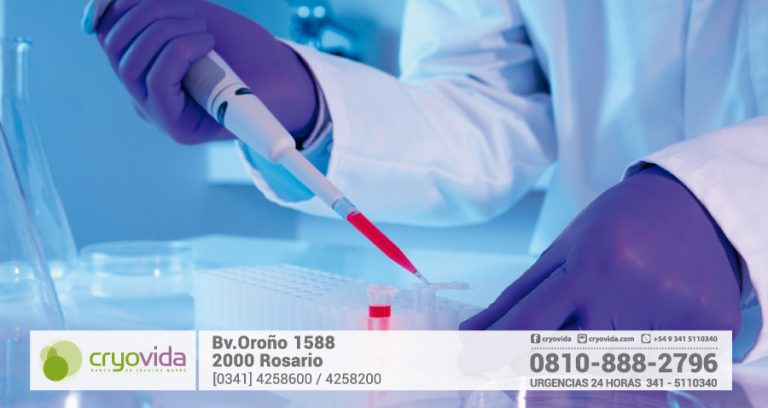 Criopreservación de células madre profundiza el avance de la medicina regenerativa