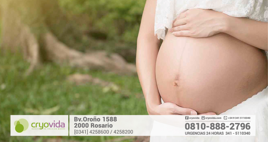 ¿Qué es el Virus Zika y cómo afecta a las embarazadas?