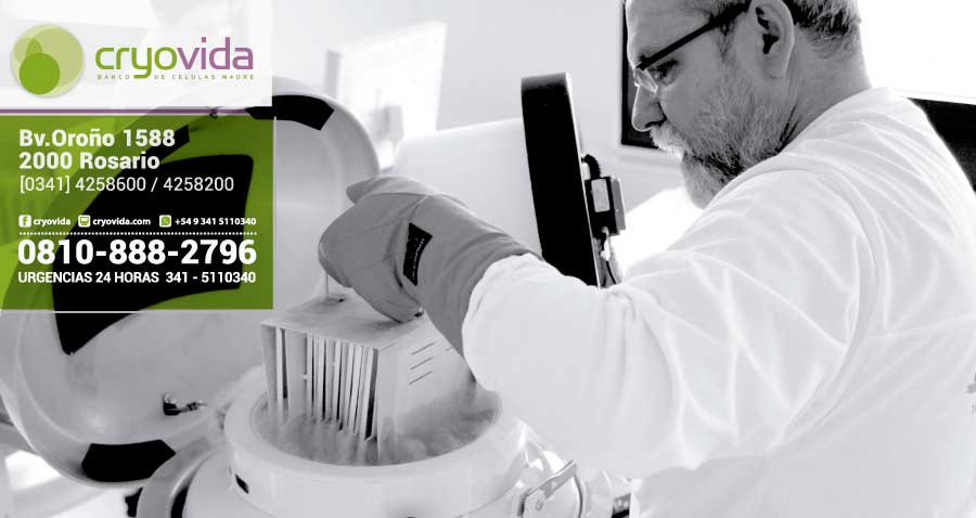 Siete tips sobre la conservación de células madres