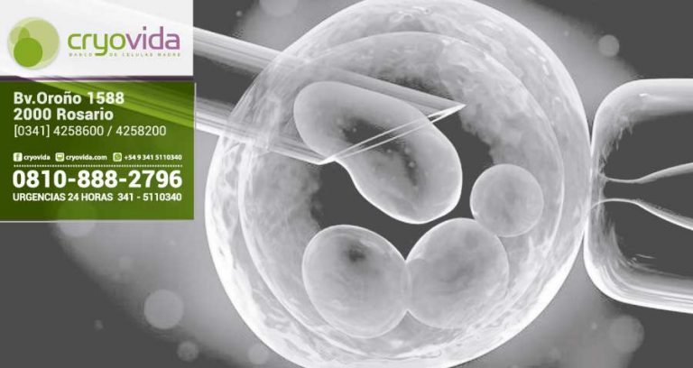 Las 7 dudas más frecuentes sobre células madre