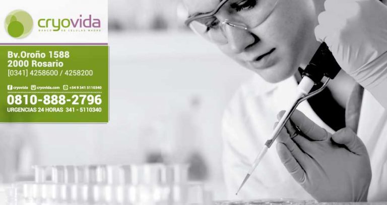 Medicina regenerativa avanza cada vez más gracias a la criopreservación de células madre