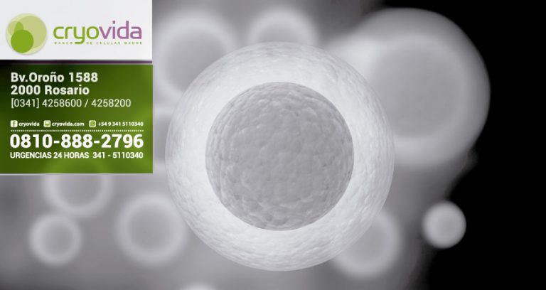 Células madre del propio paciente para curar la Enfermedad de Machado-Joseph