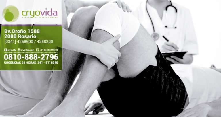 Células madre, la nueva esperanza contra las lesiones deportivas