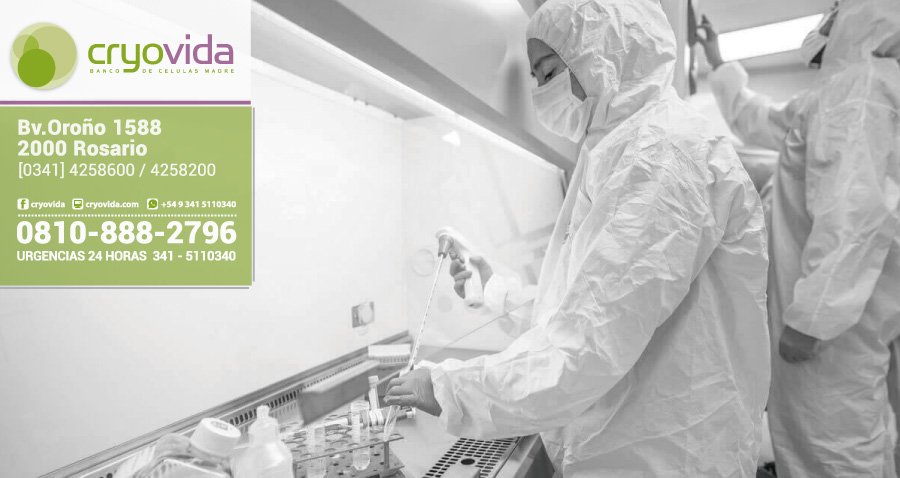 Criopreservación de células madre profundiza el avance de la medicina regenerativa