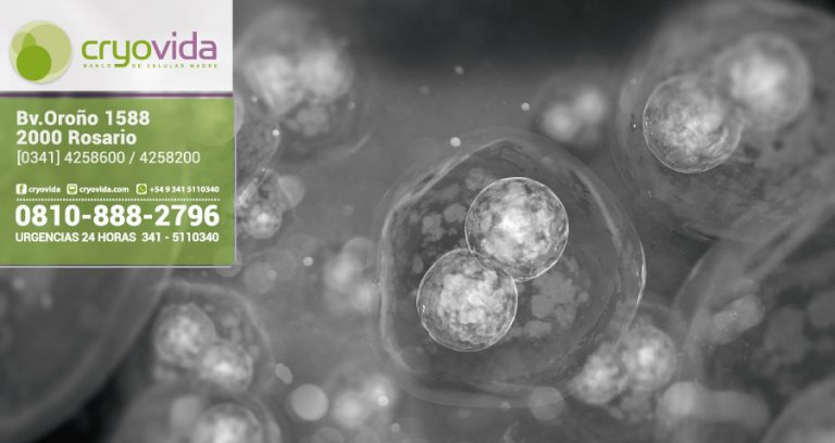 Células madre del propio paciente para curar la Enfermedad de Machado-Joseph