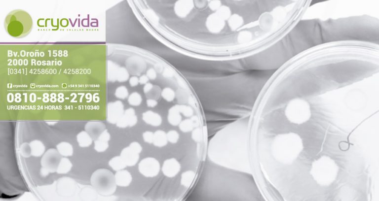 Antitumorales a bordo de células madre para atacar al cáncer