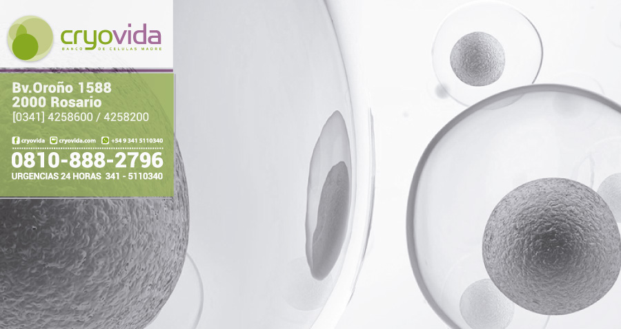 Las células madres funcionan y son una palpable realidad