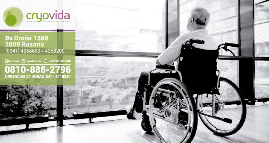 Células madre del propio paciente para curar la Enfermedad de Machado-Joseph