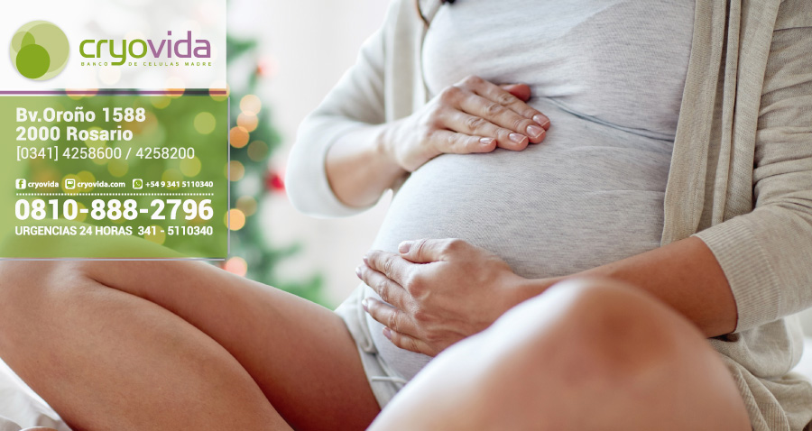 Embarazada en Navidad. Qué comer sin riesgos