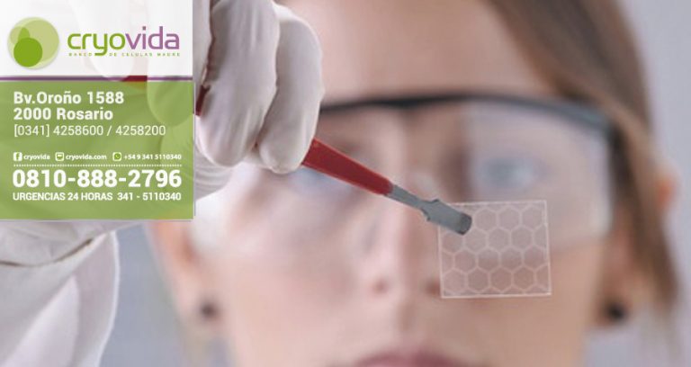 técnica con células madre para regenerar tejido humano