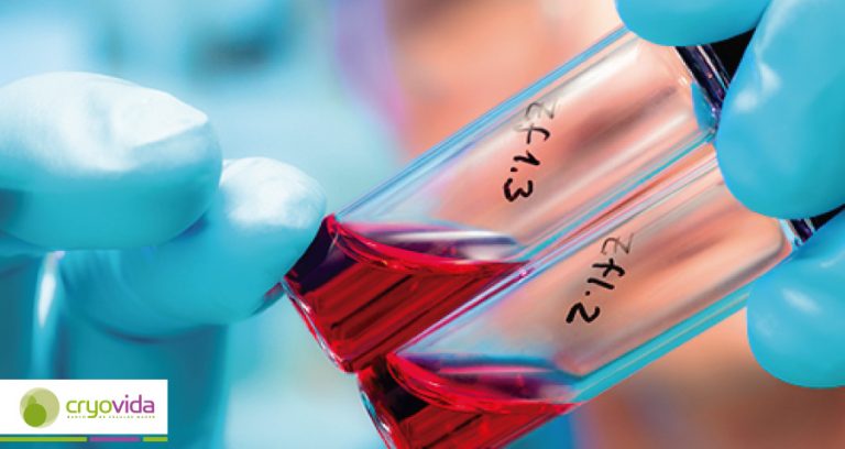 Antitumorales a bordo de células madre para atacar al cáncer