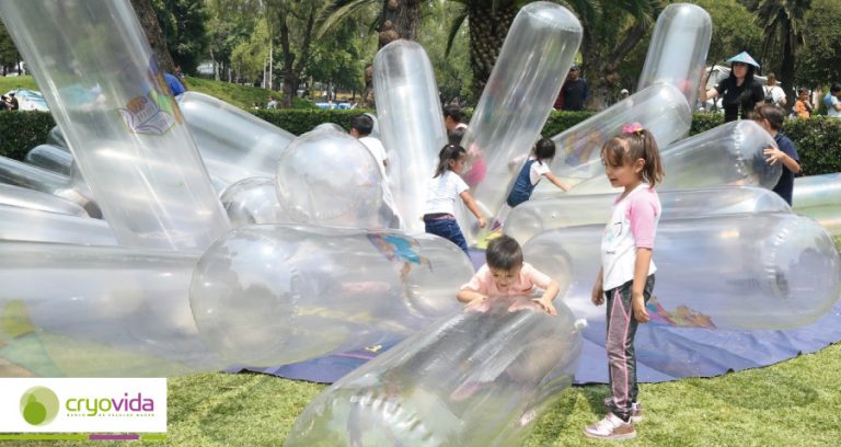 Las células madres funcionan y son una palpable realidad