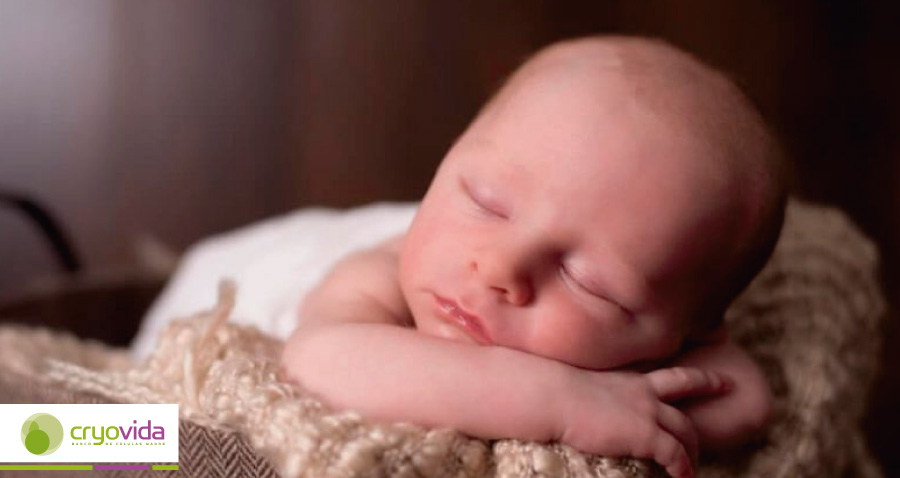 Conociendo a tu bebé