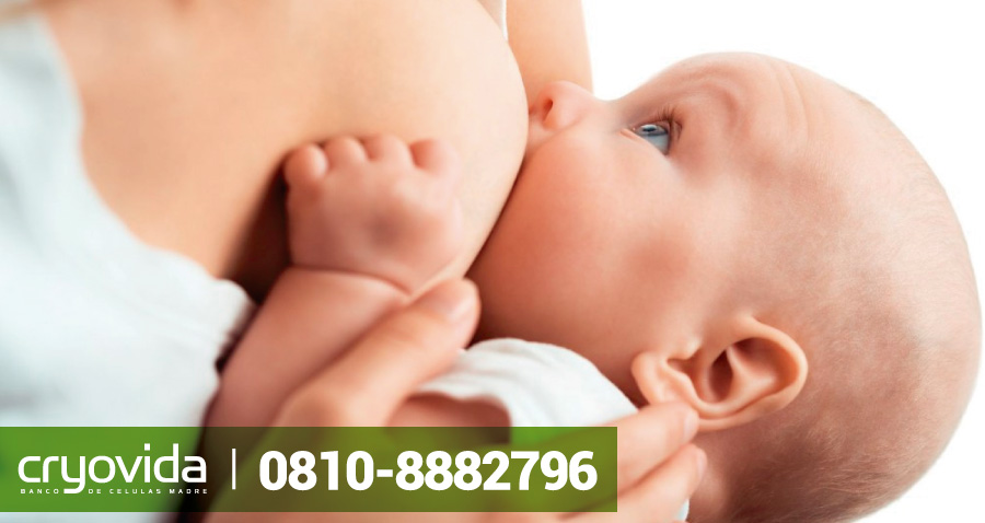 Conservación de la leche materna