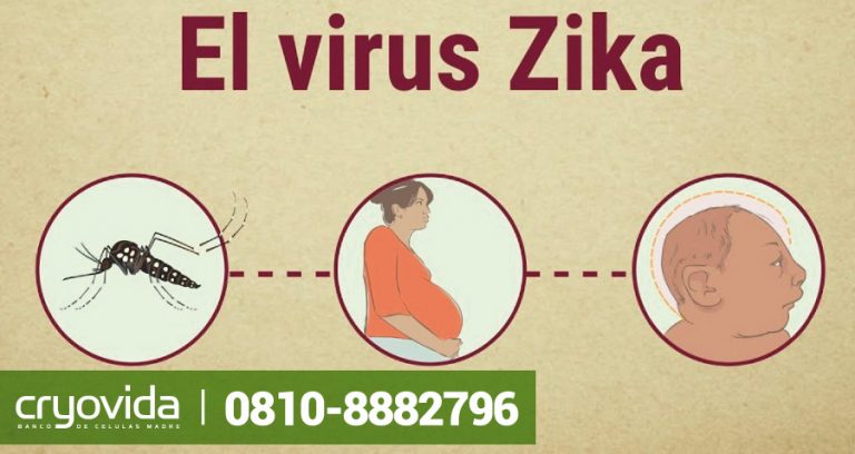 ¿Qué es el Virus Zika y cómo afecta a las embarazadas?