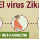 ¿Qué es el Virus Zika y cómo afecta a las embarazadas?